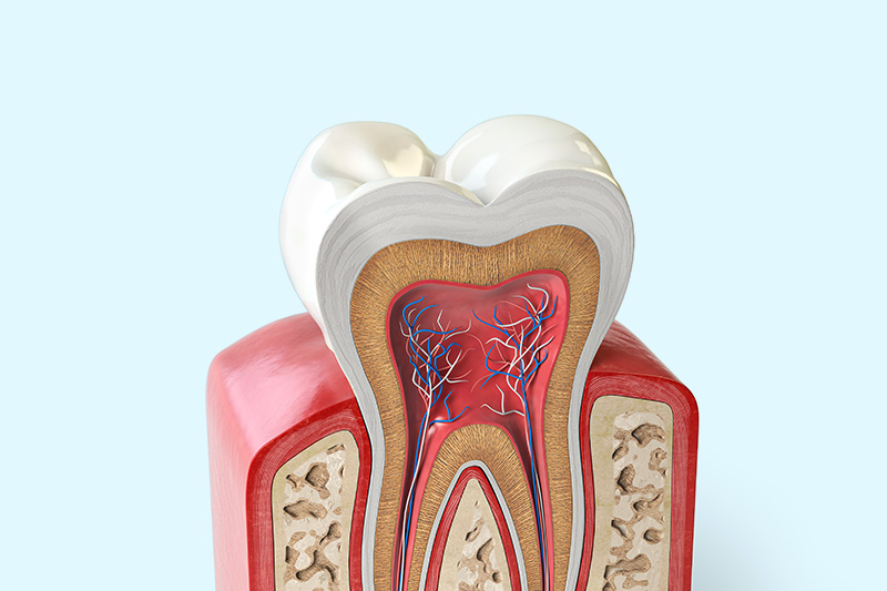 【淺談治療牙周病】得了牙周病！牙醫師給您治療牙周病方法