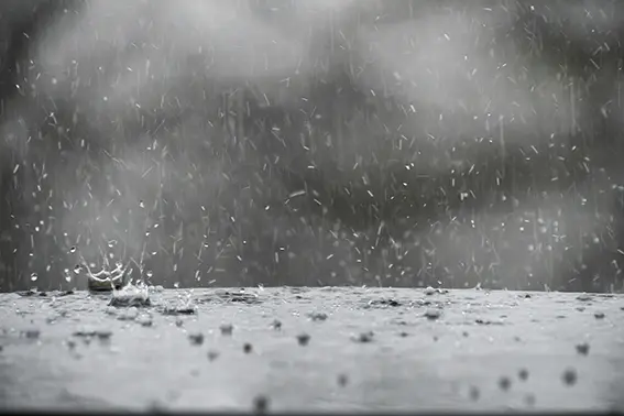 【颱風休診公告】藝品牙醫診所10/31休診 8 hailstones aka hail splashing in rain water during 2024 03 11 19 40 58 utc